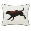 Eddie Bauer Winter Lab Throw Pillow -Eddie Bauer Shop unnamed file 1335