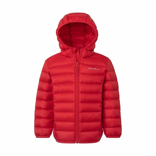 Toddler Boy Eddie Bauer Cirruslite Hooded Down Jacket Breeze 5 Toddler Boy Eddie Bauer Cirruslite Hooded Down Jacket Breeze - Image 3