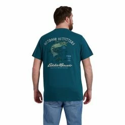 Men's Big & Tall Eddie Bauer Graphic Tee Green Tan -Eddie Bauer Shop unnamed file 553